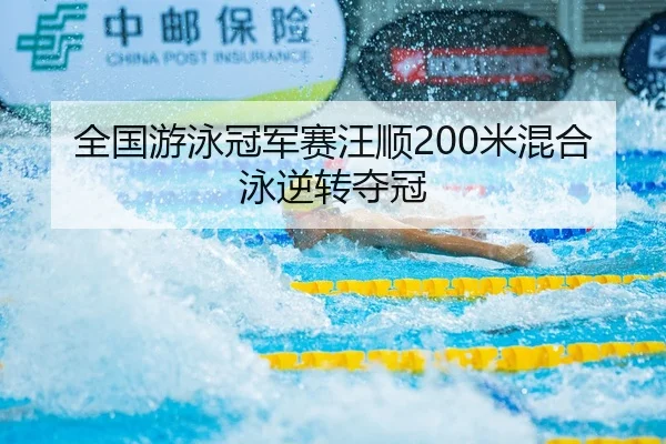 quan-guo-you-yong-guan-jun-sai-wang-shun-mi-hun-he-yong-ni-zhuan-duo-guan-2-463.jpg