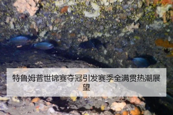 特鲁姆普世锦赛夺冠引发赛季全满贯热潮展望